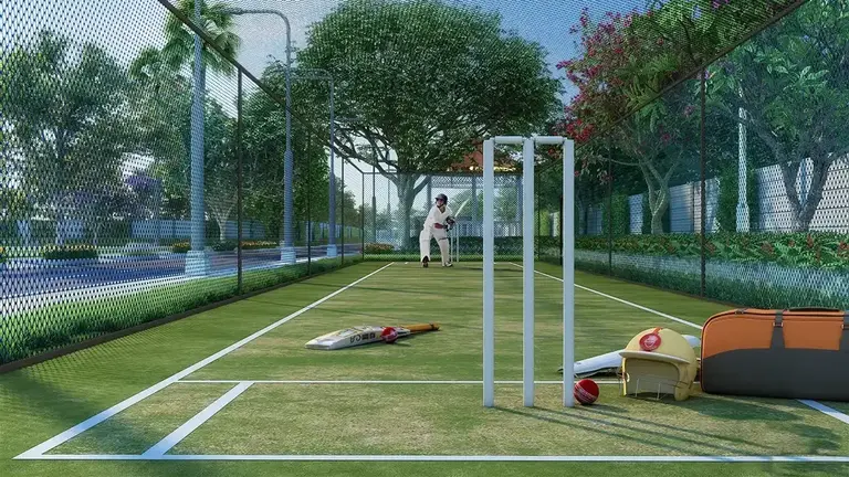 cricket